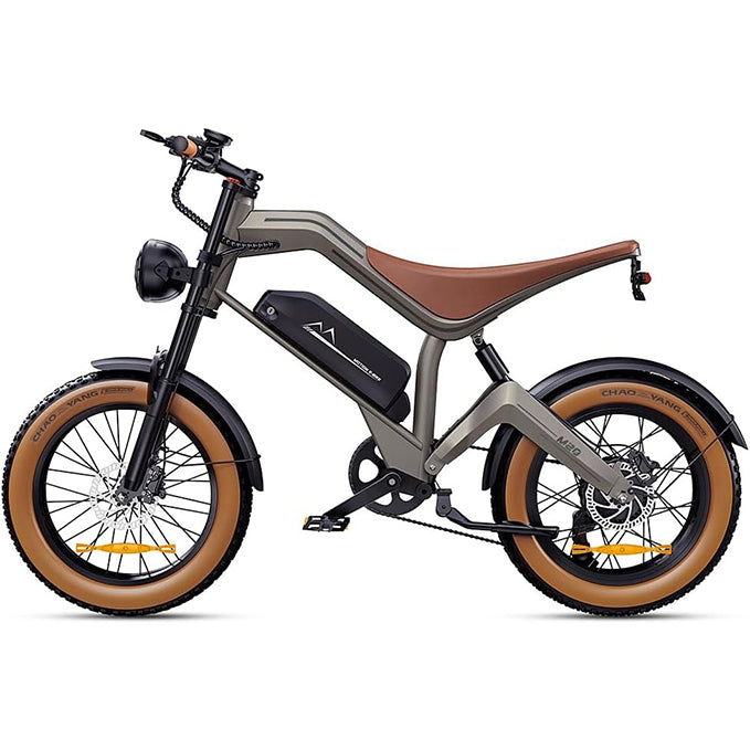 DYU Electric Bike