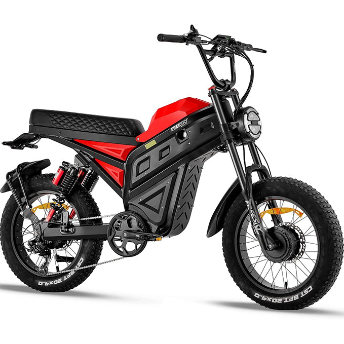 FREESKY 4000W Dual Motor Electric