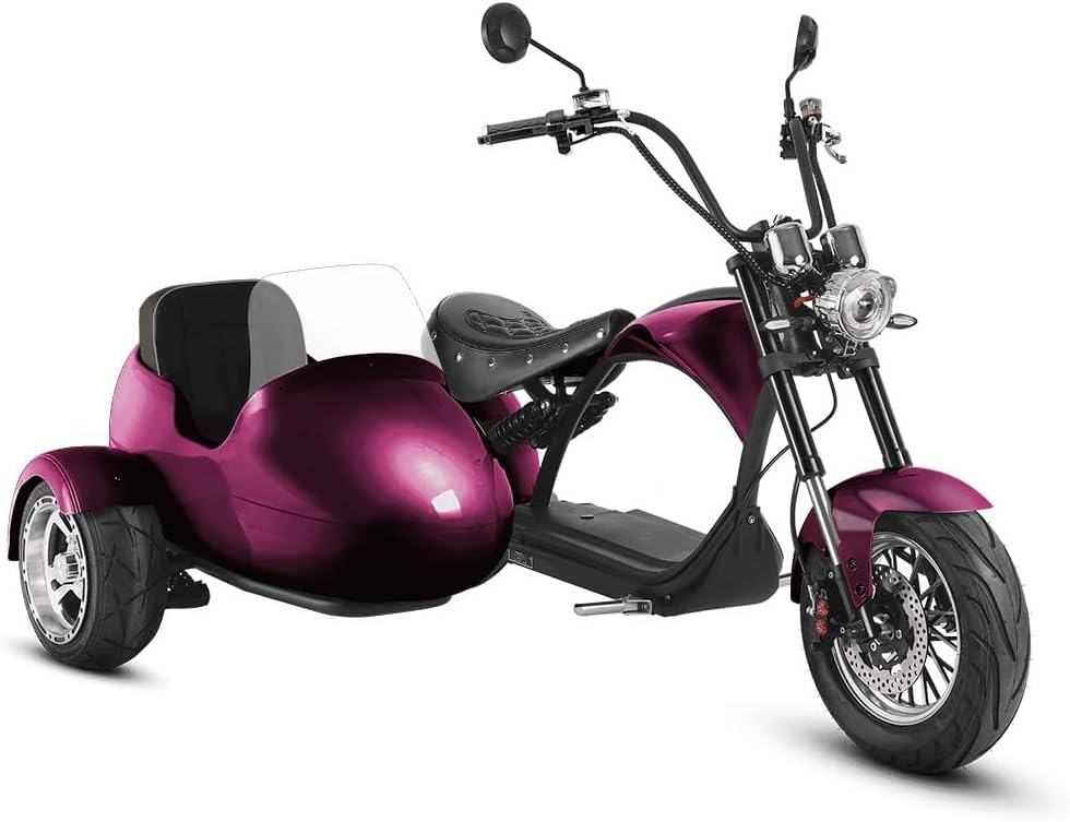 eAhora 2000W M1P Sidecar Electric Motorcycle for Adults,37mph 60V 30Ah Lithium Battery 40+ Miles Range, Full Suspension and Hydraulic Brakes Electric Mopeds
