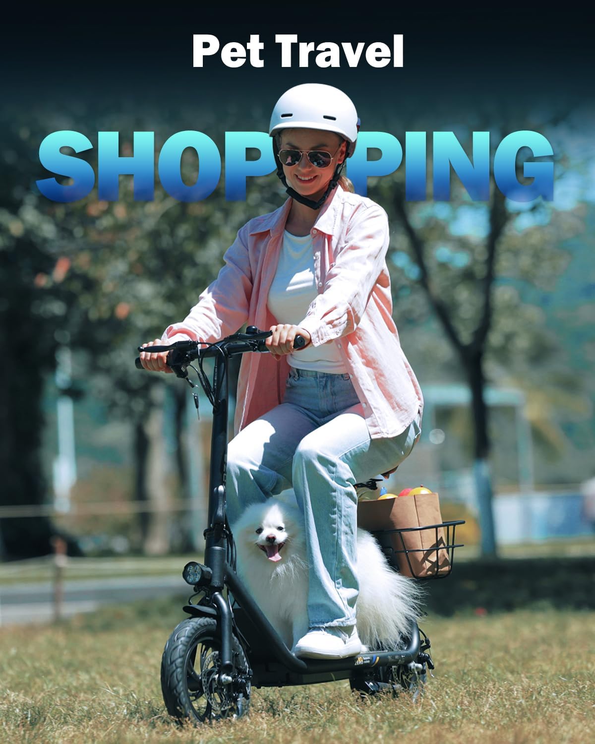 Electric Scooter with Seat ZD06, 800W Peak Motor, 20 Mile Range & 15.5 Mph, Key Start, Foldable E-Scooter with Carry Basket for Pets & Cargo, Electrically-Powered Motor Scooters