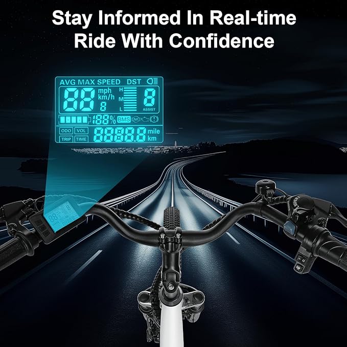 ANCHEER Electric Bike