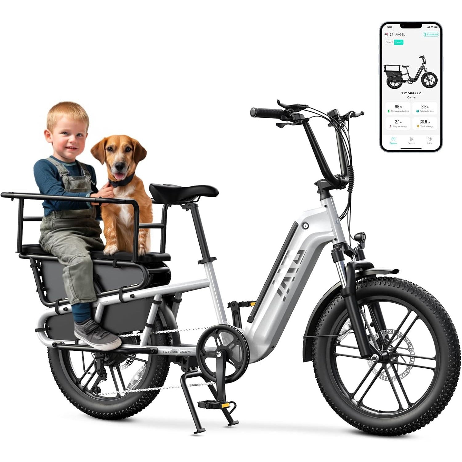 TST Electric Bike for Adults, 1500W Peak Motor Ebike with 48V 15Ah Removable Battery 28 MPH 60 Miles Fat Tire Cargo E Bike, Rear Rack, Basket, 7 Speed, 20" Step-Thru Cargo Ebike