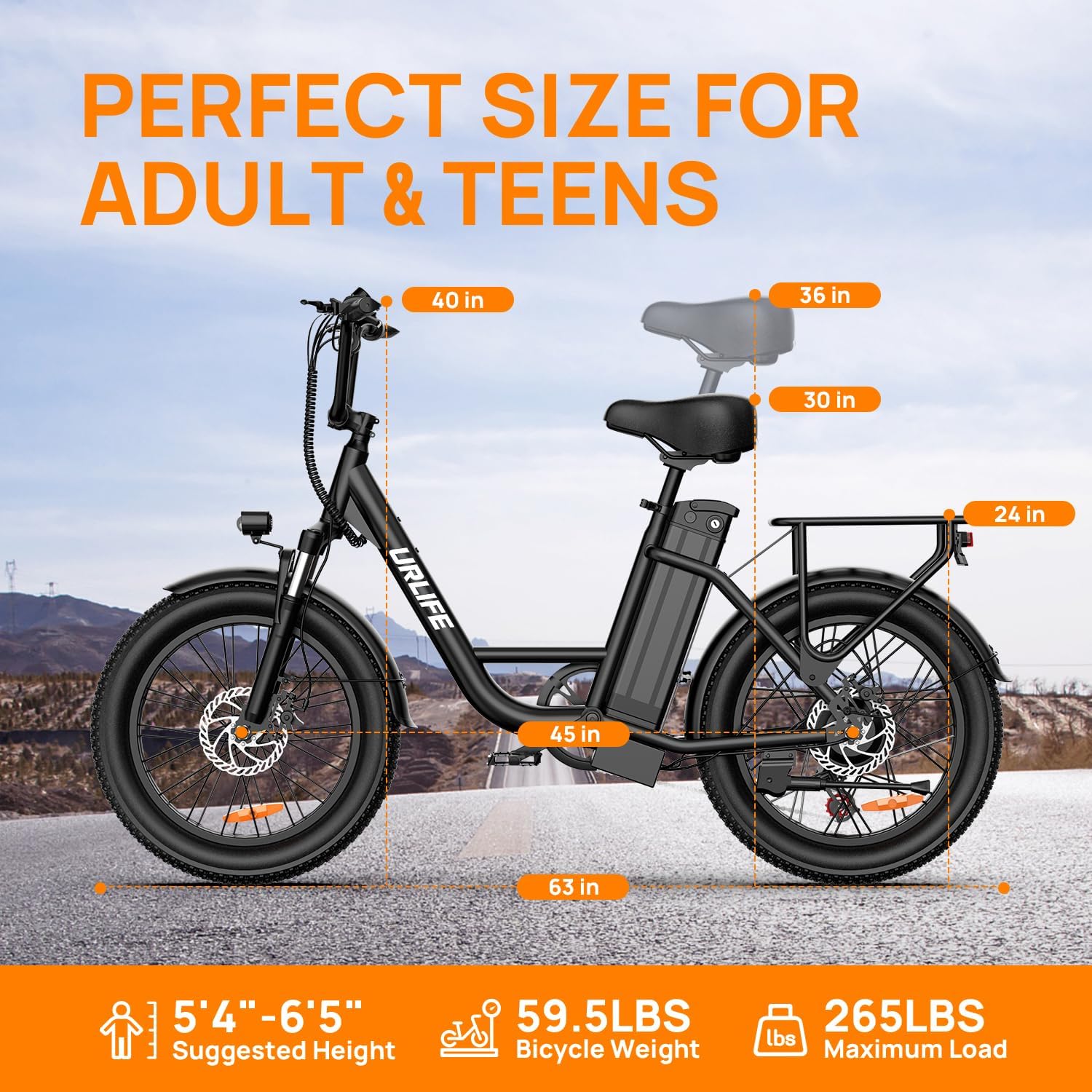 URLIFE Electric Bike for Adults, 1000W Peak Motor Ebike, 48V 13Ah Removable Battery,80 Miles Max, 20" Fat Tire Electric Bicycle with Colorful Display, All-Terrain E-Bike for Adults and Teens