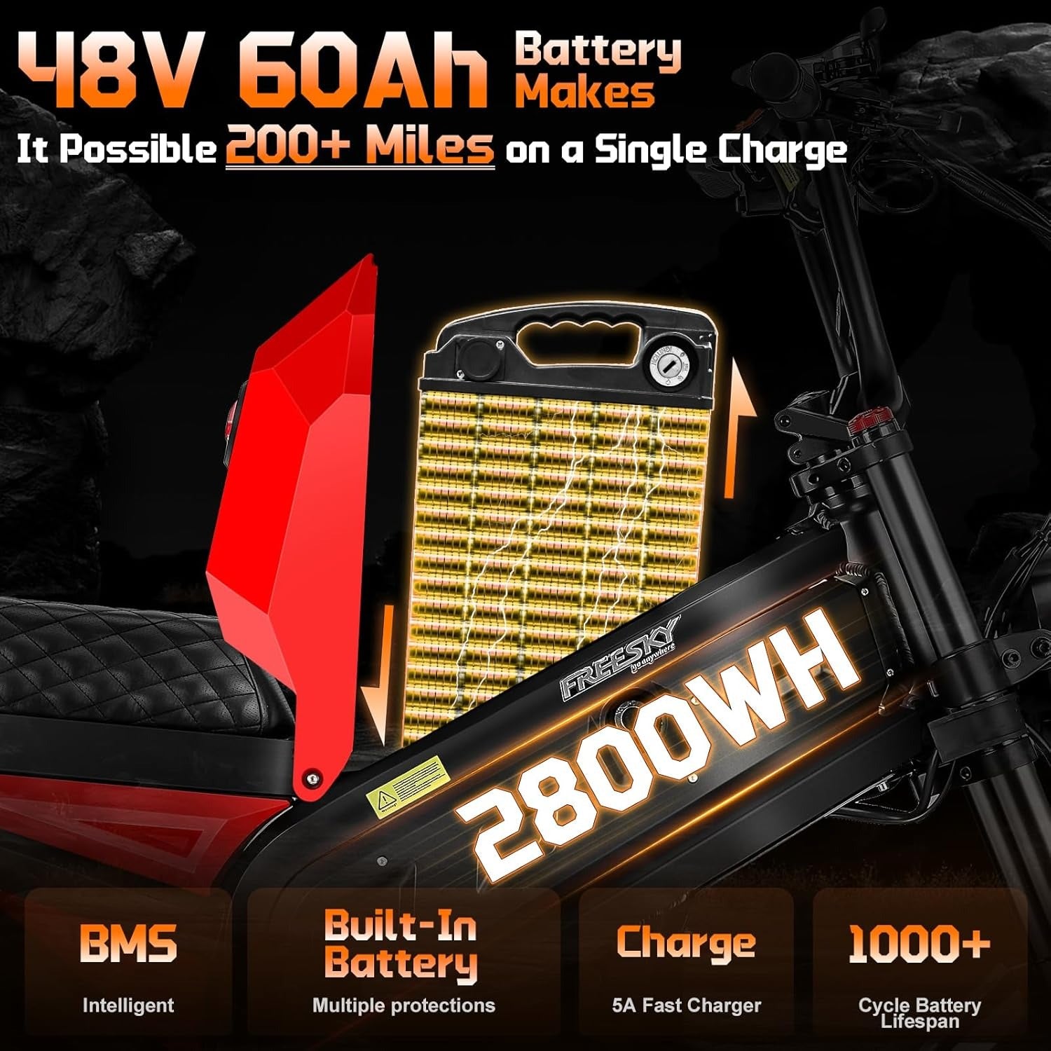 FREESKY 4000W Dual Motor Electric